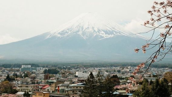 富士河口湖町日遊