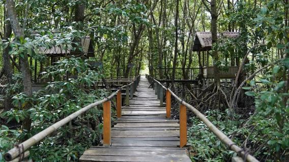 Nature & Île de Sérénité : Excursion d'une journée à Batam avec vue sur la mangrove et déjeuner au départ de Singapour