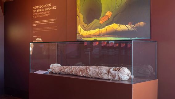 Teide Legends Digital Exhibition