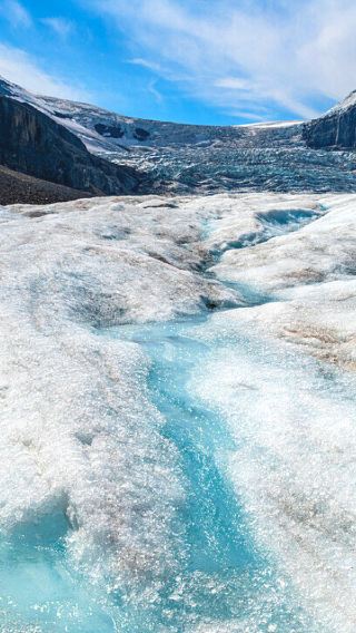 1-day round-trip tour to Columbia Icefield from Calgary including ice explorer and skywalk