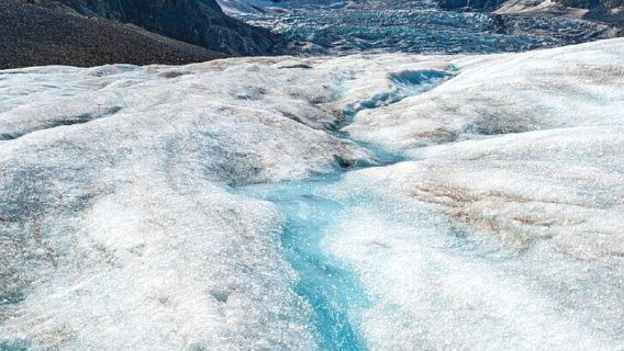 1-day round-trip tour to Columbia Icefield from Calgary including ice explorer and skywalk