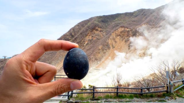 Mount Fuji & Hakone Day Tour from Tokyo