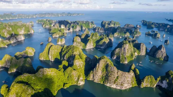 Apolo Premium Crucero 5 estrellas en la bahía de Ha-Long: limusina, jacuzzi, kayak, cuevas y almuerzo buffet