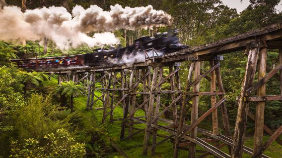 Bạn phải liên hệ với bộ phận chăm sóc khách hàng để đặt hàng - Melbourne Puffing Billy Steam Railway Belgrave - Chuyến khứ hồi Lakeside