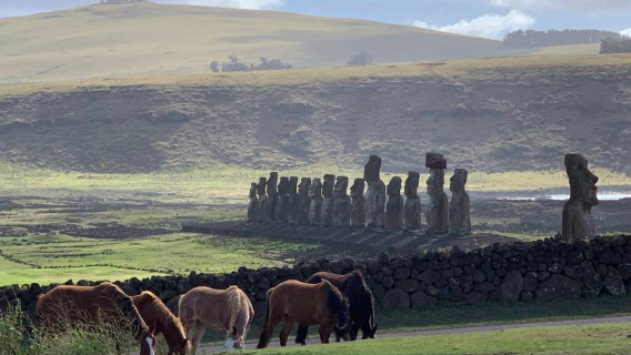 Easter Island Hotu Matua Tour in Chile (Group Tour/Bookable for 1 Person)