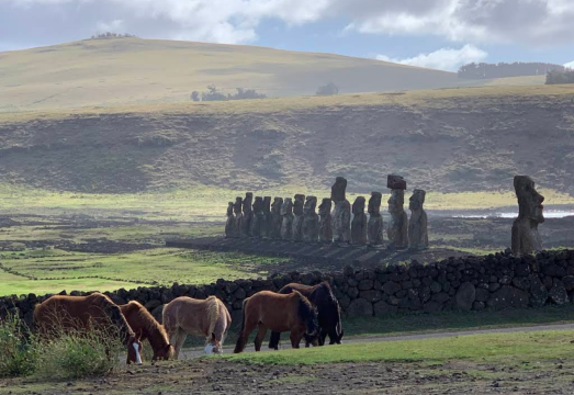 Easter Island Hotu Matua Tour in Chile (Group Tour/Bookable for 1 Person)
