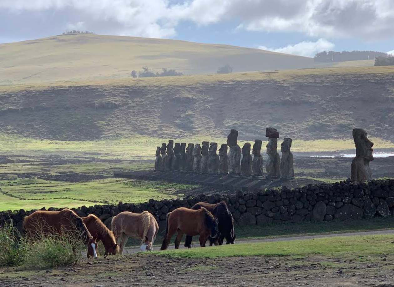 Easter Island Hotu Matua Tour in Chile (Group Tour/Bookable for 1 Person)
