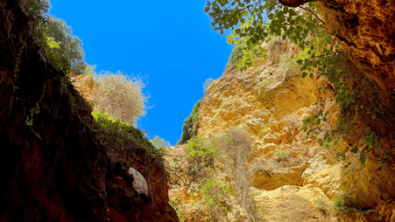 Depuis Faro : visite guidée de l'Algarve