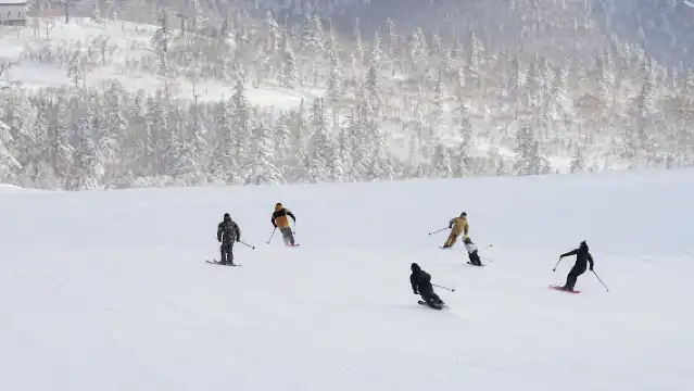 北海道 札幌國際滑雪場 1日纜車票+來回巴士票(札幌市內 出發/返回) 丨一站式滑雪,日歸超便利