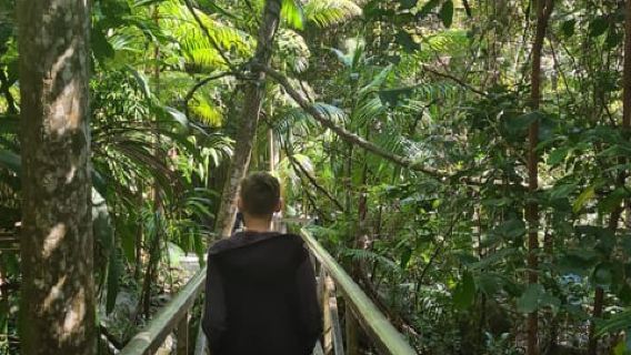 TamborineTours
