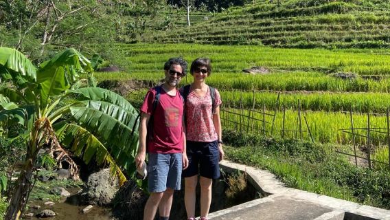 From Yogyakarta: Hidden Waterfall & Selogriyo Rice Terraces