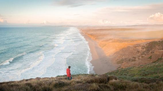 San Francisco: Recorrido por Muir Woods, Point Reyes y Meadery