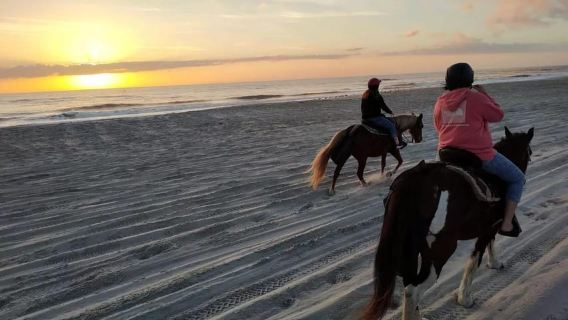 Amelia Island: Morning or Evening Horseback Ride on a Beach