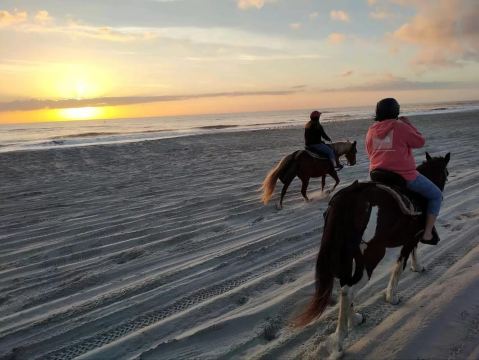 Amelia Island : balade à cheval matinale ou nocturne sur une plage