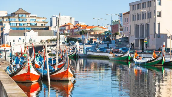 Từ Lisbon: COIMBRA và AVEIRO