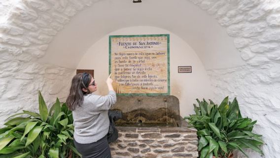 Из Гранады: однодневная экскурсия по деревням Альпухарры