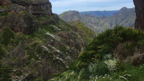 Dari Funchal: Tur Pulau Timur Santana dan Pico do Areeiro