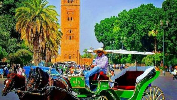 Marrakech: Recorrido de 1 hora en coche de caballos tradicional