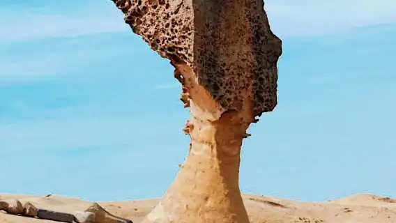 Taipei Jiufen and Shifen Private Charter 1-day Tour 8 Hours: Customized Itinerary (Departing from Taipei)