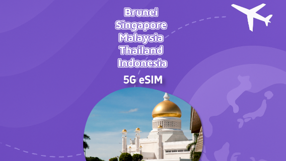 文萊 & 新加坡 & 馬來西亞 & 泰國 & 印度尼西亞 |5G eSIM|高速數據|總量包|5-10天|自然日|快速安裝|QR code