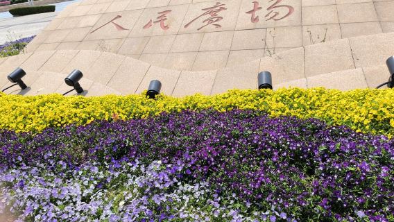 Shanghai, China - Lujiazui + People's Square + Oriental Pearl Tower (Jadual boleh disesuaikan/Perkhidmatan dalam Bahasa Inggeris tersedia)