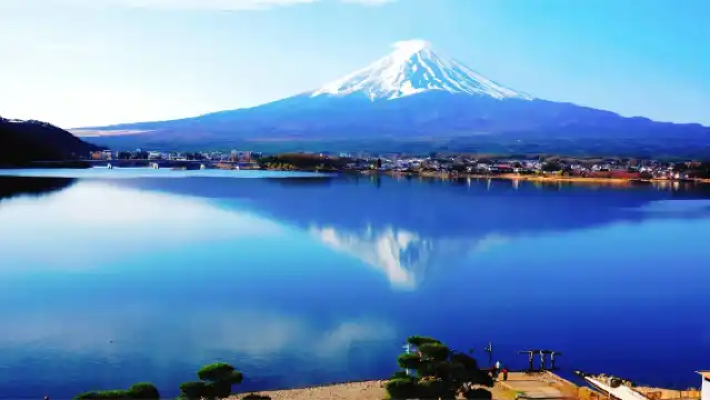 日本東京富士山全景遊丨網紅公園&忍野八海&日川時計店羅森&河口湖&山中湖可選丨東京出發