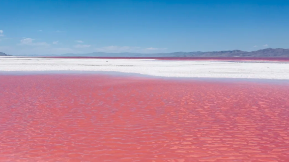 美國鹽湖城經典包車一日遊：議會大廈+聖殿廣場+羚羊島+大鹽湖