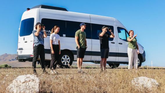 Salt Lake City: Tur Berpemandu ke Pulau Antelope Great Salt Lake