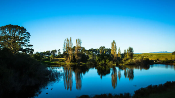 新西蘭奧克蘭中文司導包車 景點隨停+無隱形消費