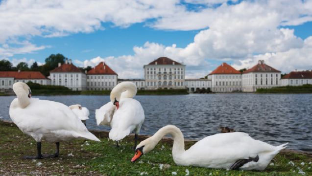 新天鵝堡-阿爾卑斯湖-壁畫村【德國童話之旅】|慕尼黑來回包車