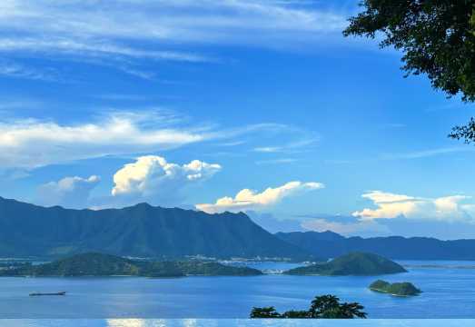 CUHK Study Tour Guide | Students from The Chinese University of Hong Kong Share Academic Life & Experiences [Private Tour, No Reservation Needed,...