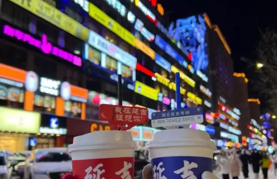 琿春防川+圖們口岸+延吉網紅牆|一眼望三國|精品小團|去程接送