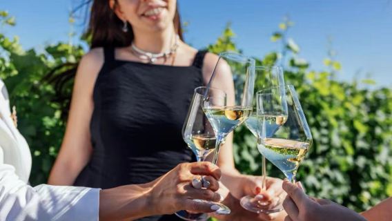 意大利：威尼斯出發－特雷維索＋索阿威白葡酒品鑑－維羅納一日遊