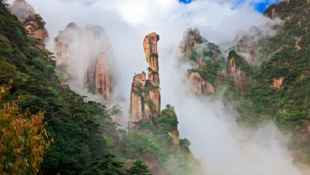Lawatan Sehari ke Gunung Sanqing Shangrao [Pilihan Berlepas dari Wuyuan, Kumpulan Kecil 6 Orang/Pilihan Mainan Tulisan Lingkaran Kecil atau Sederhana]