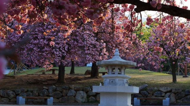 韓國慶州新羅古蹟一日遊 (釜山出發, 世界文化遺產)