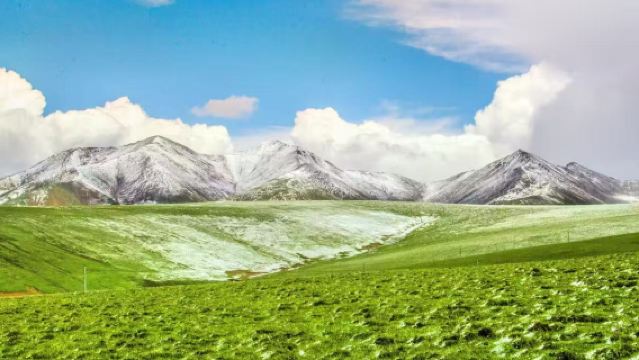 Xining round-trip private charter: Wenjia Ranch - Qinghai Lake Erlangjian - Chaka Salt Lake