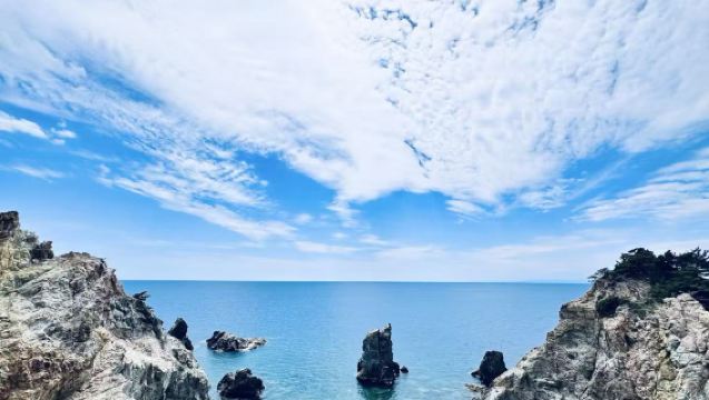 東京-西伊豆：戀人岬+黃金崎【中文包車-上門接駁-行程可調】