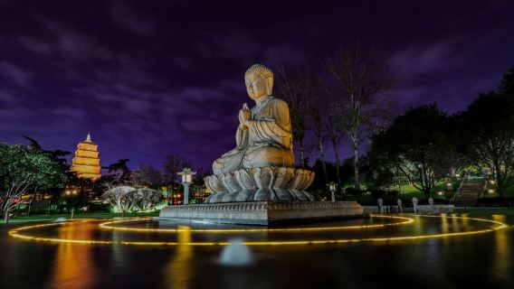 Xi'an · English/Russian/minor language-speaking local guide | Private charter | Professional service