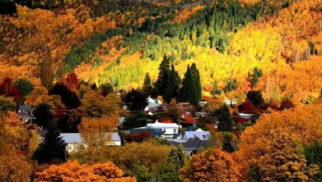 Berlepas dari Queenstown: Lawatan Sehari Kongsi Kenderaan ke Glenorchy | Rumah Merah Tempat Menarik + Pekan Buah + Wanaka