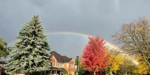 加拿大多倫多黑溪先祖村+約克大學+艾倫花園【中文司機】