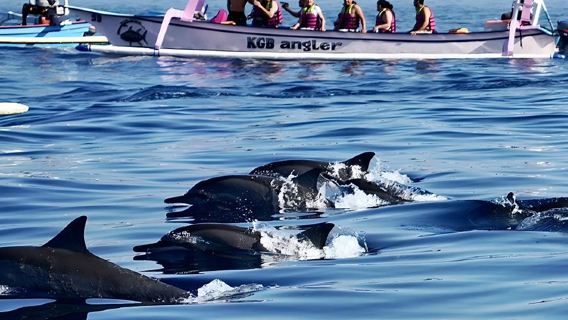 ทัวร์ 1 วันตามล่าปลาโลมาที่โลวินา บาหลี [ตามล่าโลมา+ร่มร่อน]