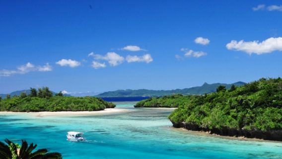 Tagesausflug mit dem Reisebus nach Ishigaki | Entdecken Sie die Michelin-ausgezeichnete Kabira Bay · Sorgenfreies Reisen ohne Verkehrsprobleme