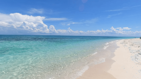 桑給巴爾：納庫彭達沙洲逃逸之旅附燒烤與浮潛