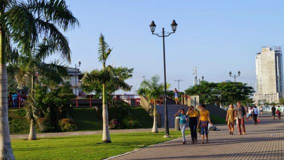 Panama: Panama City Sightseeing Tour + Panama Canal (Miraflores Locks)