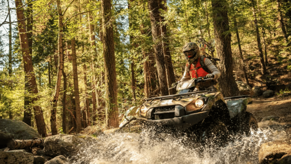 Rovaniemi: Quad Bike Safari with Combo Options