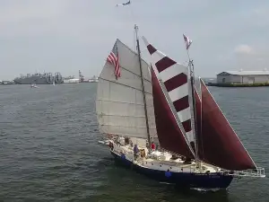 Baltimore Evening Sail on the Summer Wind 