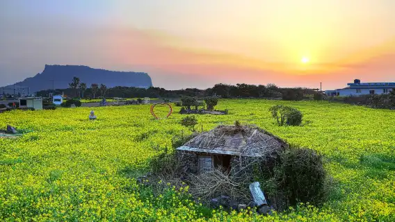ทัวร์วันกรุ๊ปเล็กเกาะเชจู - ตะวันออก
