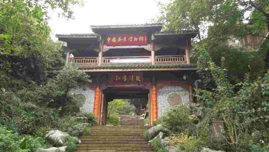 Shanghai-Hangzhou Private Guided 1-Day Tour West Lake Longjing Shanyuan Tea Culture Village Lingyin Temple