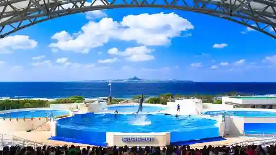 日本沖繩北部一日遊|萬座毛&古宇利島&美麗海水族館&美國村
