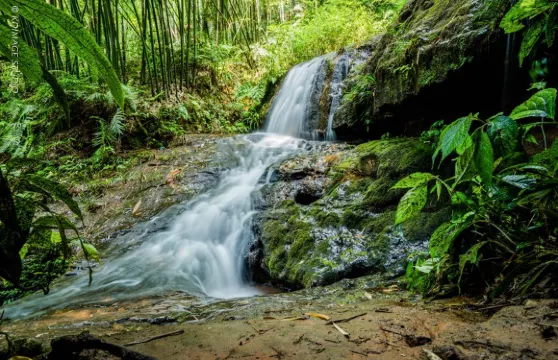 蜀南竹海迎風灣電動船票大小同價